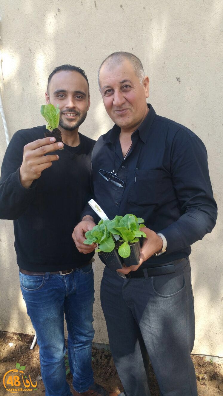 tomashin lduaj (9).jpg